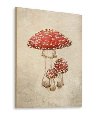 Woodland Mushroom II Print