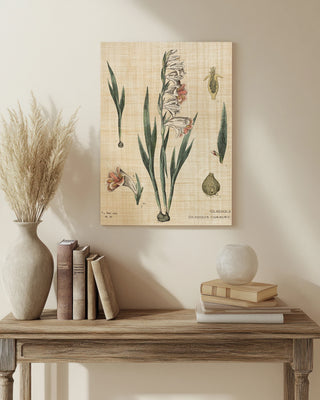 Gladiola Chart Linen Print