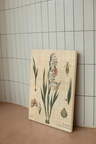 Gladiola Chart Linen Print