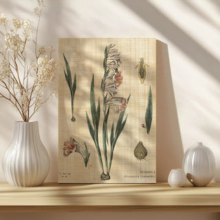 Gladiola Chart Linen Print