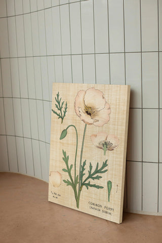 Poppy Chart Linen Print