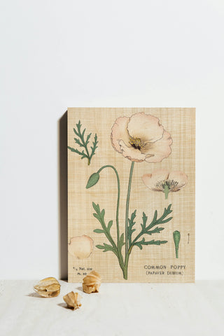 Poppy Chart Linen Print