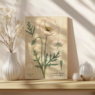 Poppy Chart Linen Print