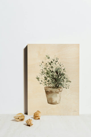 Potted Herbs Print