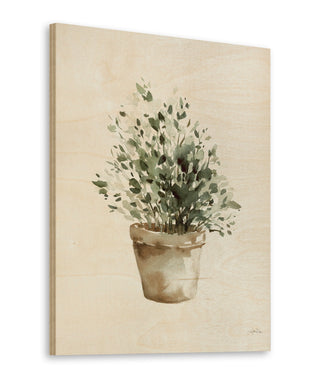 Potted Herbs Print