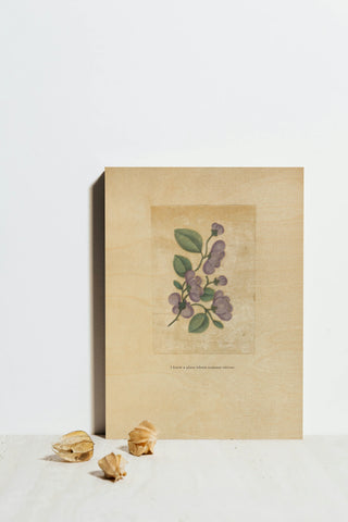 Textbook Floral Pastel Print