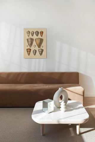 Shell Assorment II v2 Print