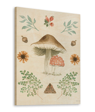Forest Finds XI Print