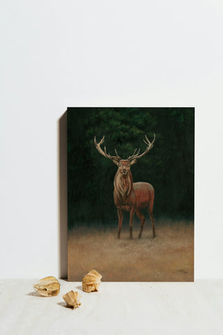 Stag Print