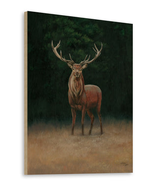 Stag Print