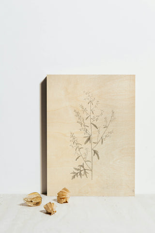 Gifts from the Meadow II Print