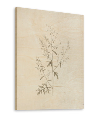 Gifts from the Meadow II Print