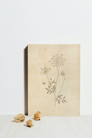 Gifts from the Meadow III Print