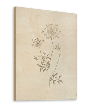 Gifts from the Meadow III Print