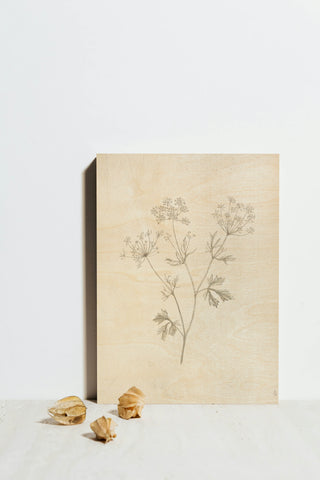 Gifts from the Meadow IV Print