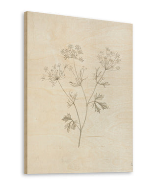 Gifts from the Meadow IV Print