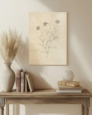 Gifts from the Meadow V Print