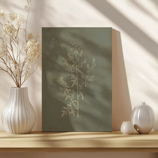 Gifts from the Meadow II Sage Print