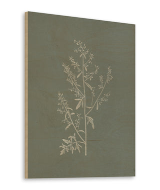 Gifts from the Meadow II Sage Print