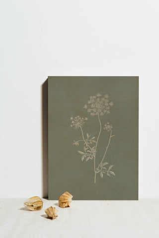 Gifts from the Meadow III Sage Print