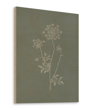 Gifts from the Meadow III Sage Print
