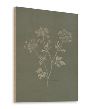 Gifts from the Meadow IV Sage Print