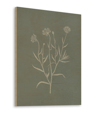 Gifts from the Meadow V Sage Print
