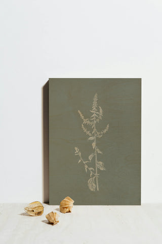 Gifts from the Meadow VI Sage Print