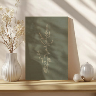 Gifts from the Meadow VI Sage Print