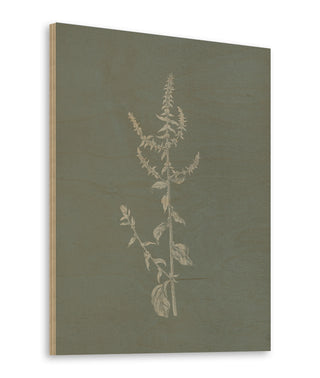 Gifts from the Meadow VI Sage Print