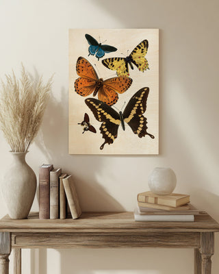 Vintage Butterfly I Print