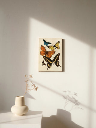 Vintage Butterfly I Print