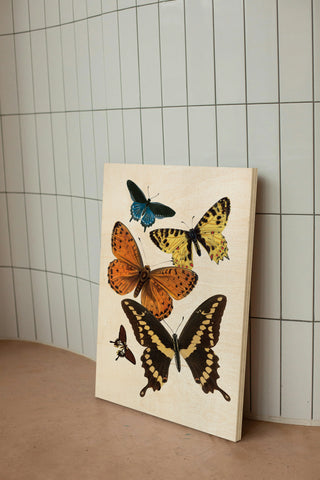 Vintage Butterfly I Print