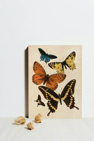 Vintage Butterfly I Print
