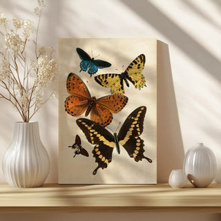 Vintage Butterfly I Print