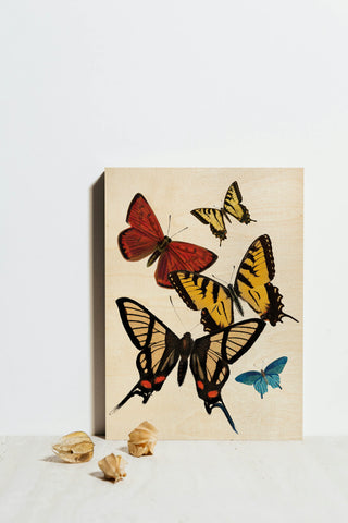 Vintage Butterfly II Print