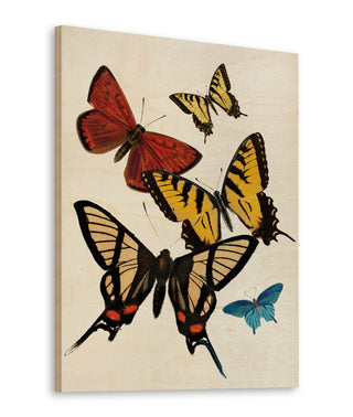 Vintage Butterfly II Print