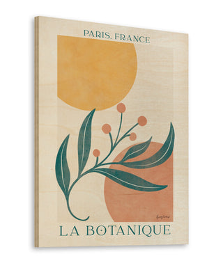 Botanical Poster IV Print