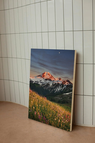 Mount Baker Wildflowers Print