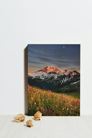 Mount Baker Wildflowers Print