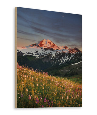 Mount Baker Wildflowers Print