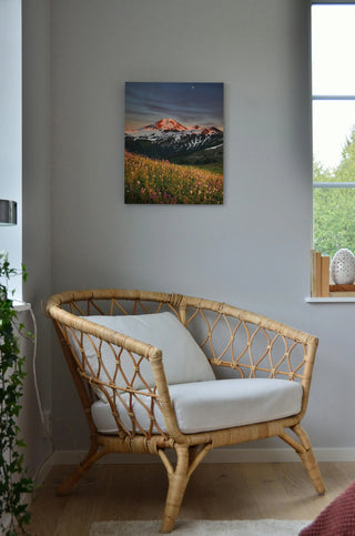 Mount Baker Wildflowers Print