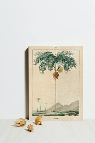 Palm Tree Print