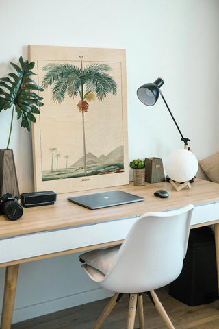 Palm Tree Print