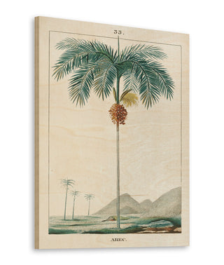 Palm Tree Print