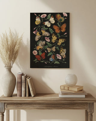 Le Jardin des Plantes Black Print