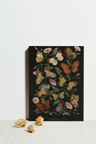 Le Jardin des Plantes Black Print