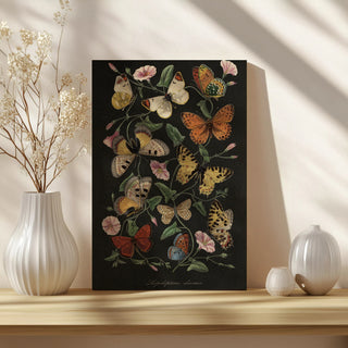 Le Jardin des Plantes Black Print