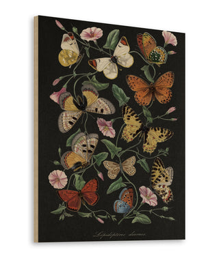 Le Jardin des Plantes Black Print