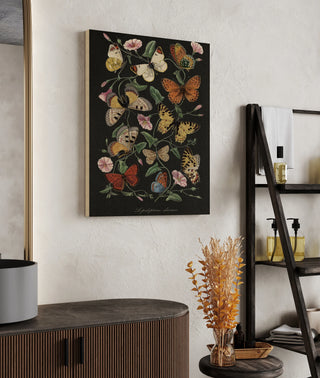 Le Jardin des Plantes Black Print